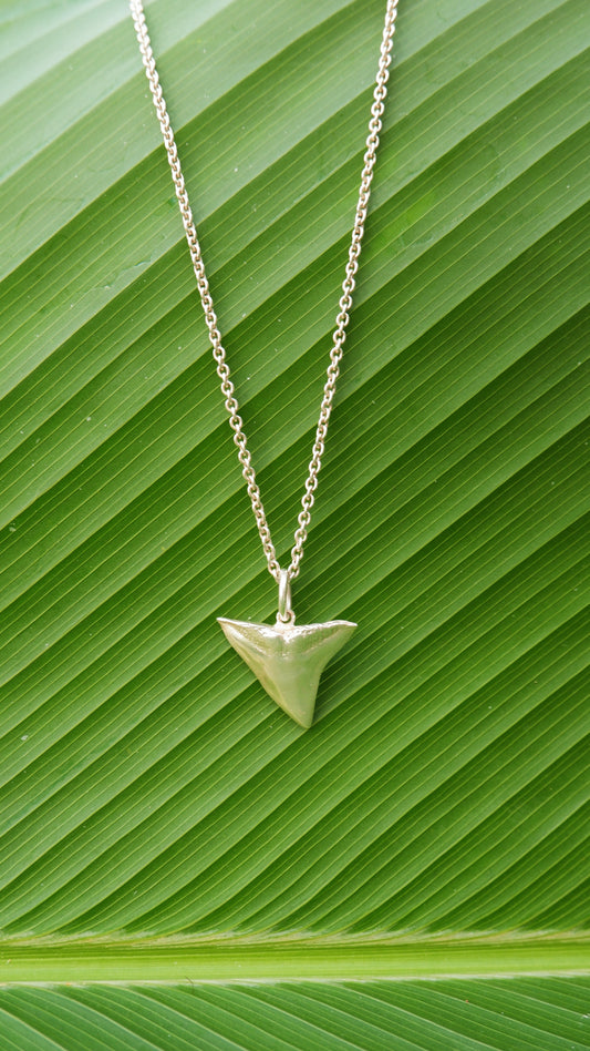 Shark Tooth Pendant in Silver