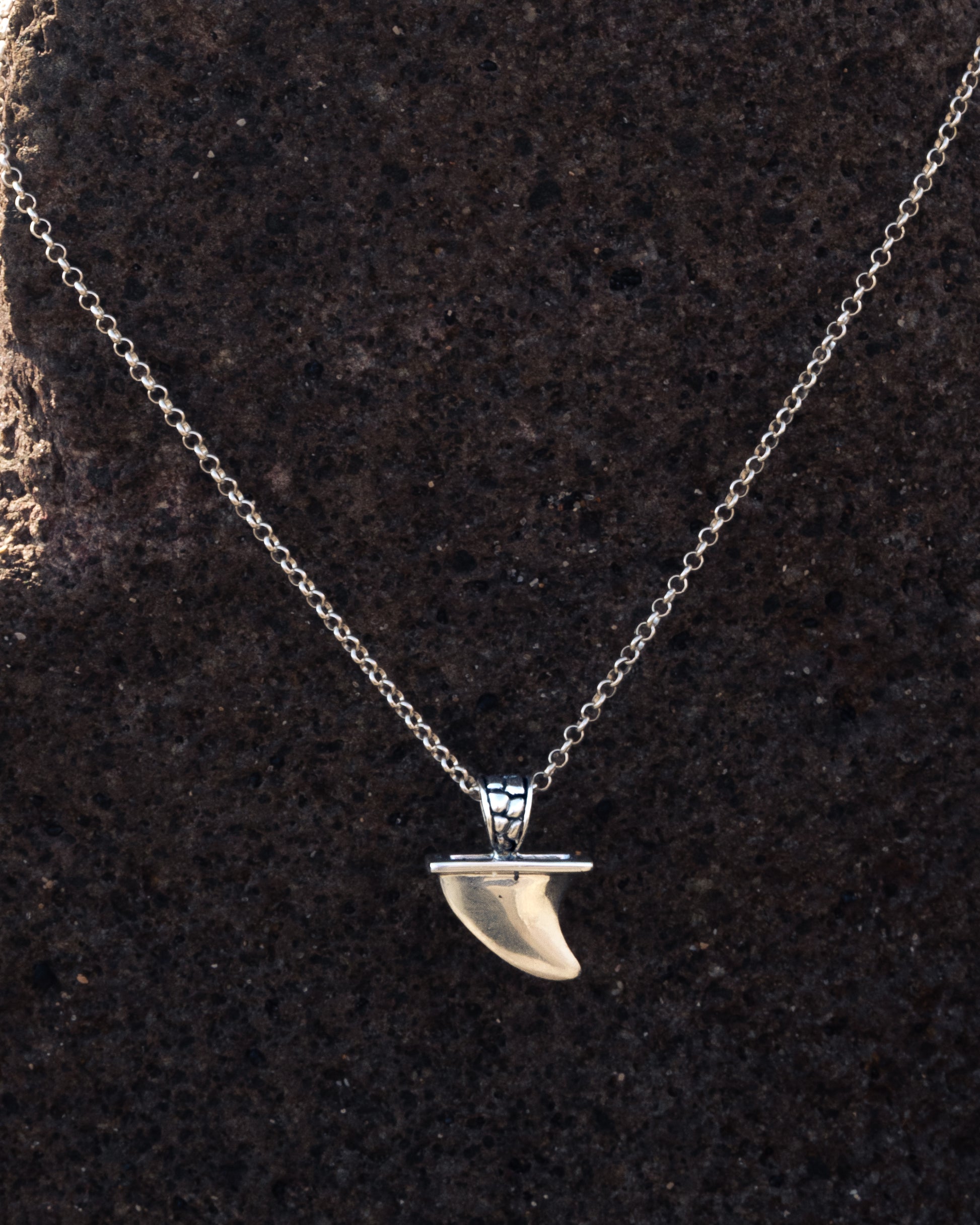 Necklace with a keel fin pendant on a dark textured background