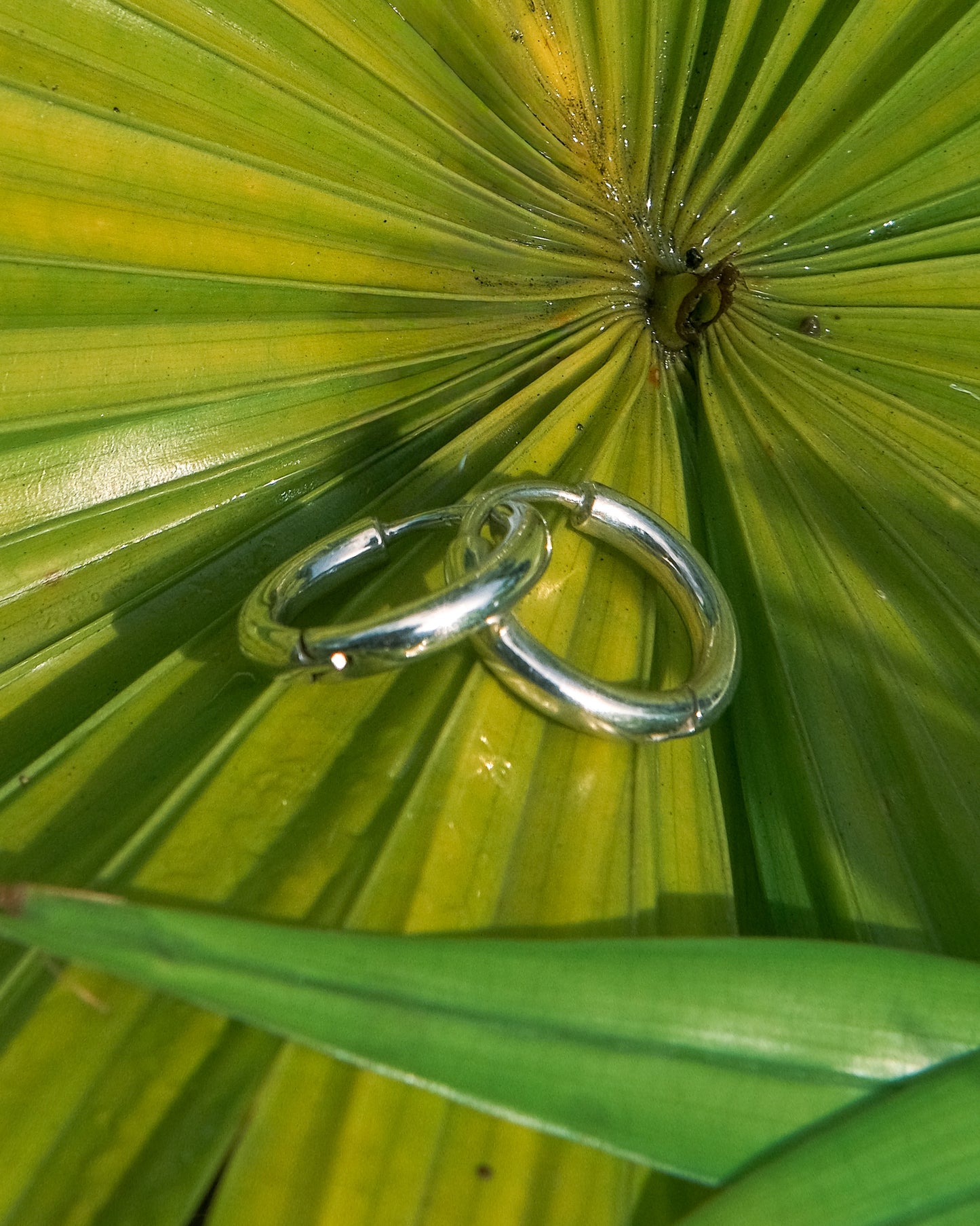 Sterling Silver Surfable Hoops